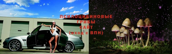 ECSTASY Алексеевка