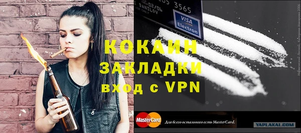 стаф Алзамай